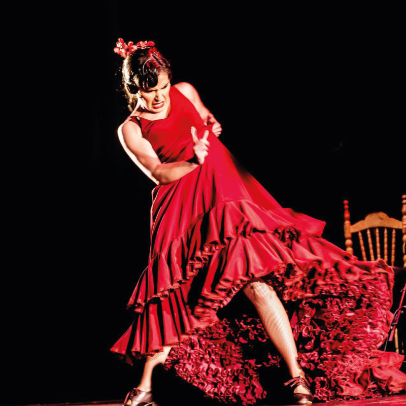 cristina-soler-granada-flamenco
