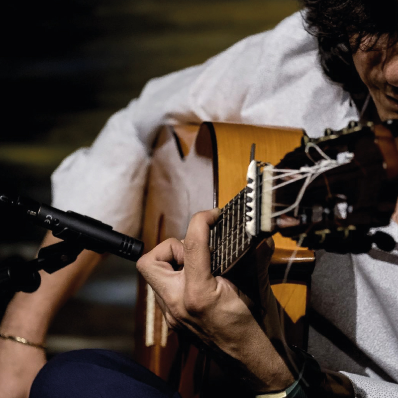 manuel-fernandez-flamenco-guitar-grenada