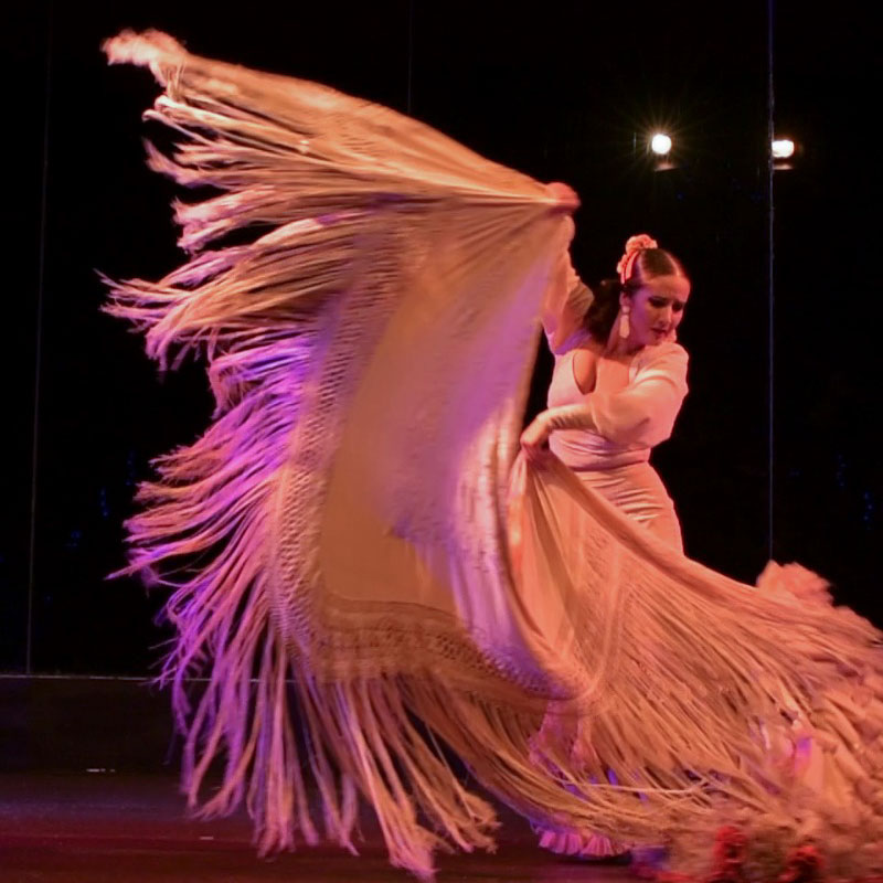 spectacle de flamenco de susana sanchez