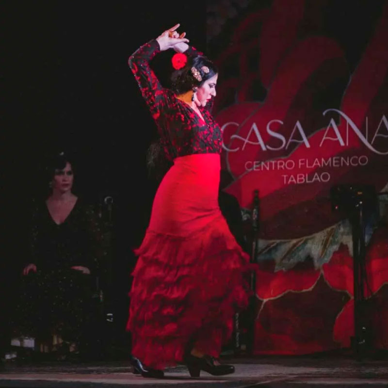 flamenco granada 5 de septiembre
