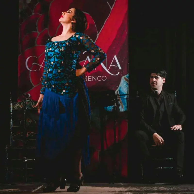 flamenco granada de diciembre