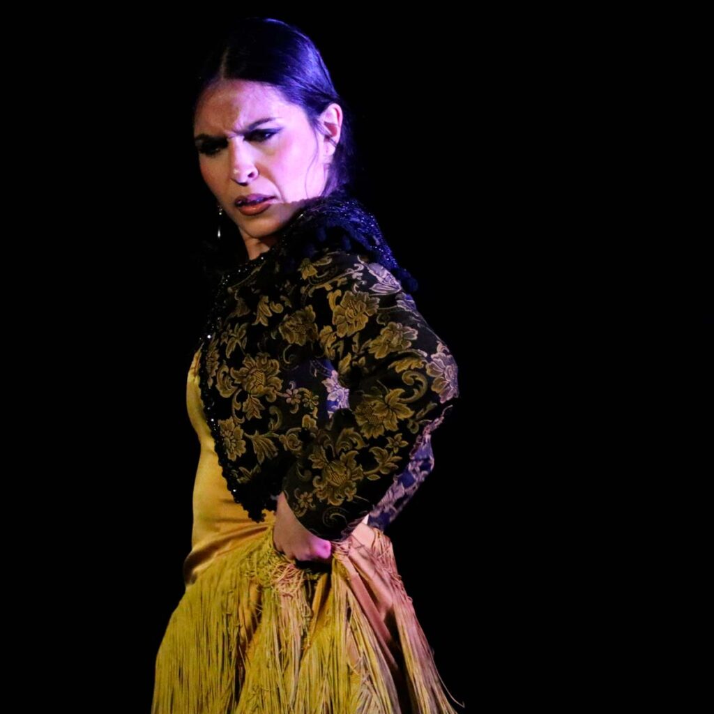 cristina soler flamenco
