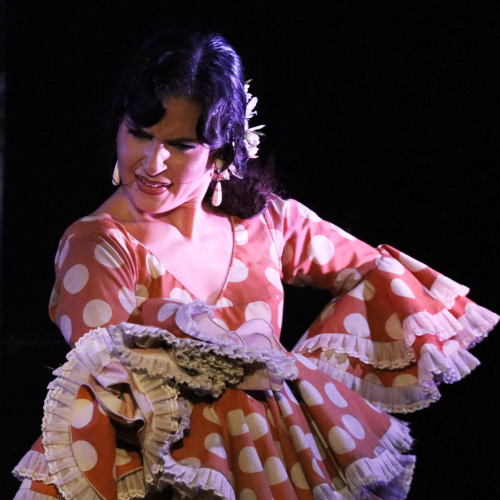 flamenco show in march