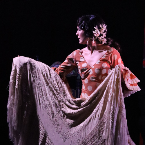 Spectacle de flamenco en mars