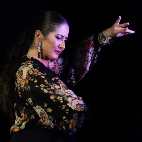 espectaculo flamenco de marzo